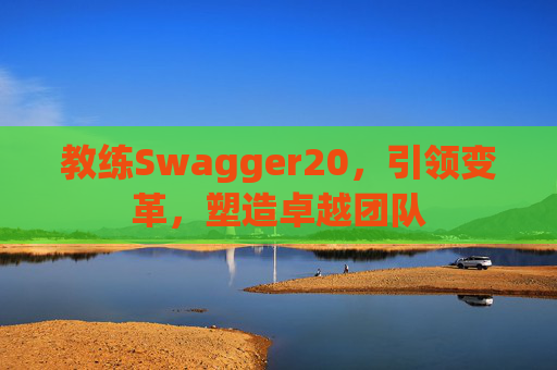 教练Swagger20，引领变革，塑造卓越团队